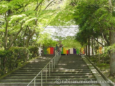 社寺巡遊 永観堂のスナップ