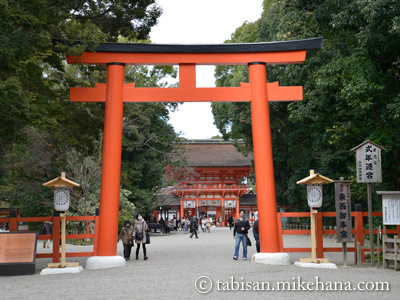 京都 下鴨神社