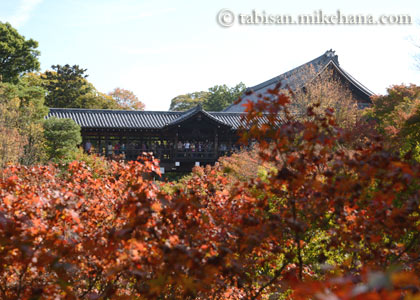 旅行最終日は、紅葉スポットの東福寺へ･･･